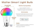 Echo Spot with Energetic Smart Color Bulb