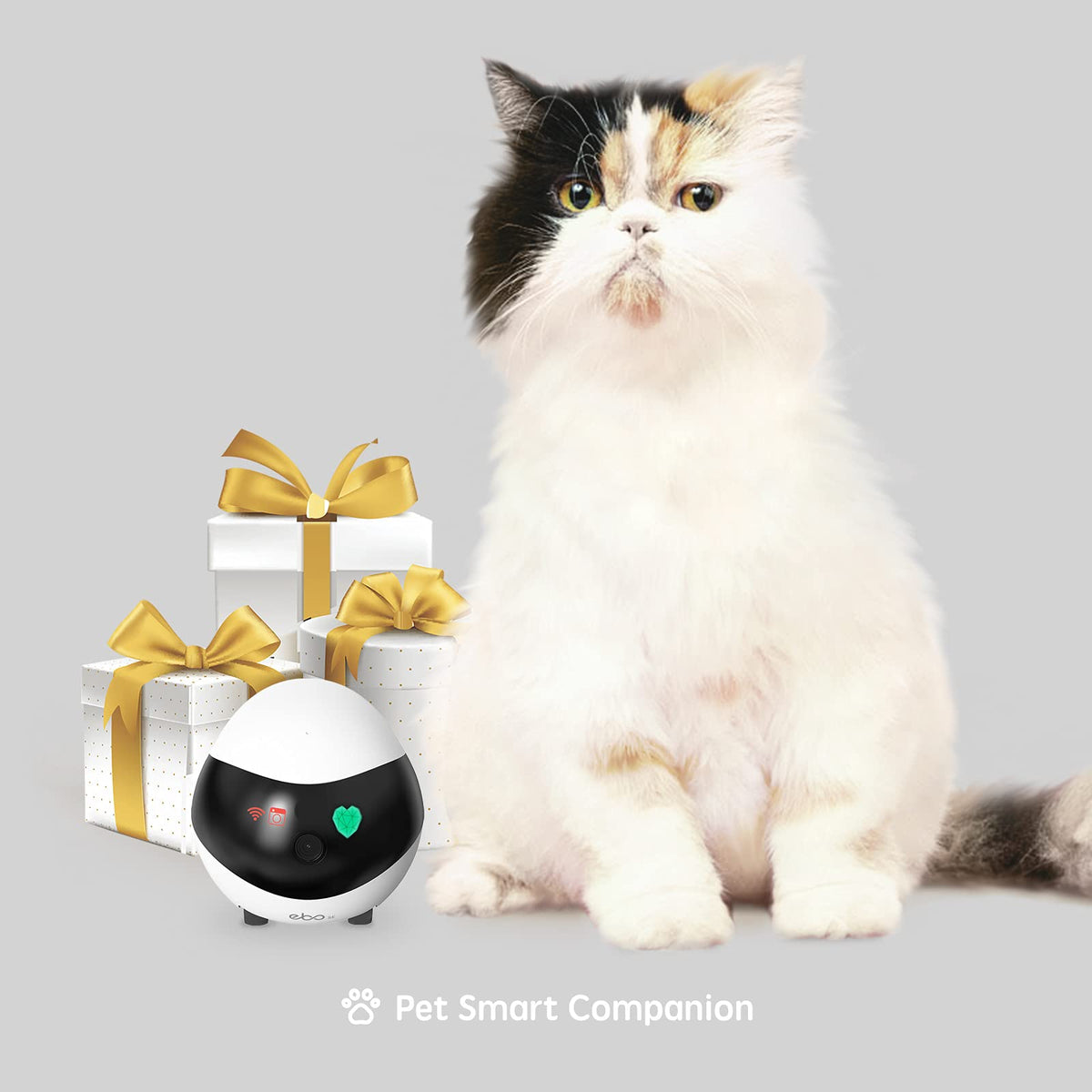 Enabot EBO SE Home Robot Camera: Mobile Pet Companion with 1080p Camera