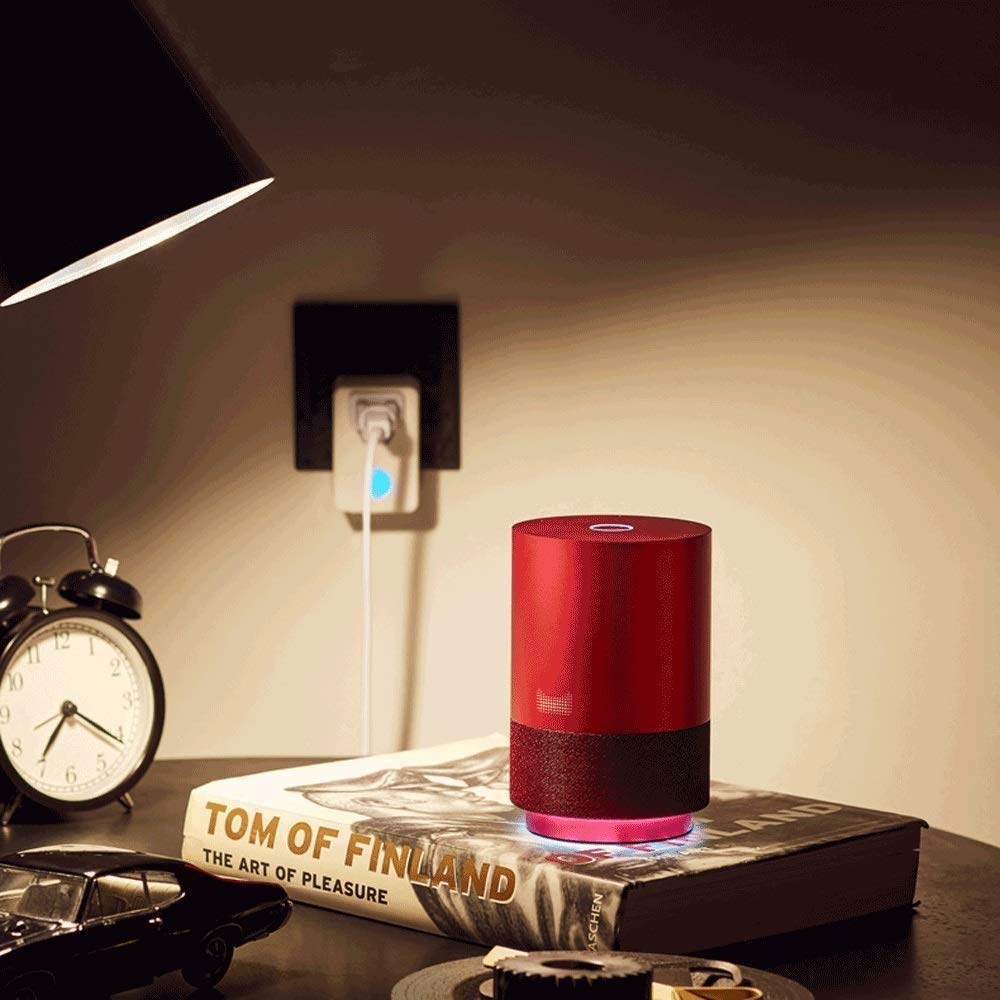 Sound Smart Portable Outdoor Speaker,Small AI Voice Assistant (Connectivity)