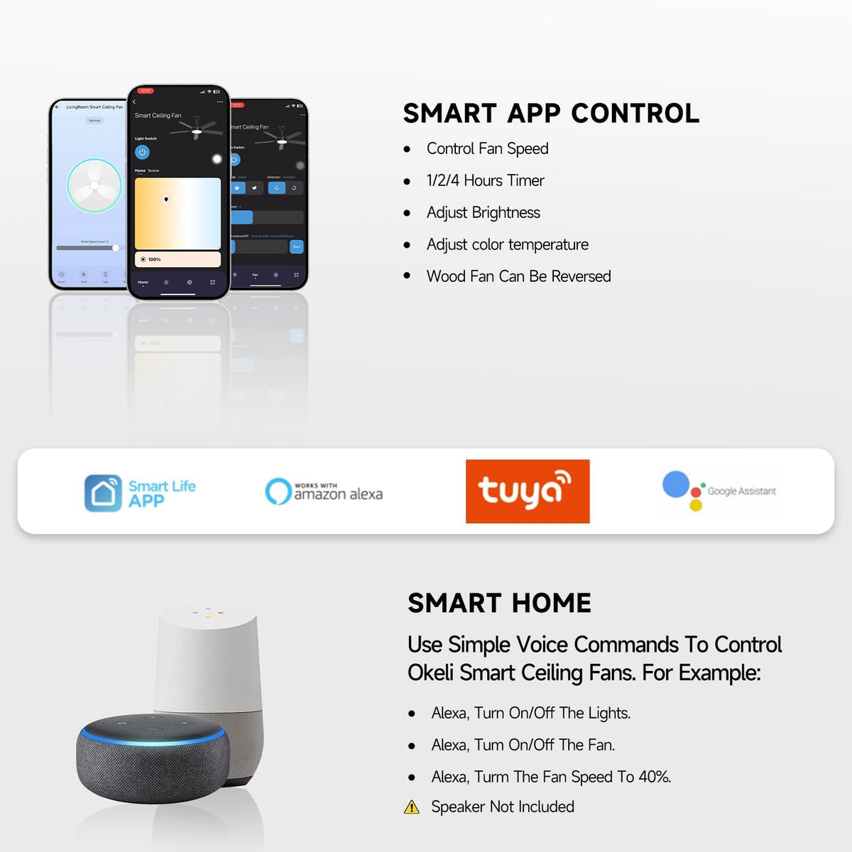 Roomratv Smart Ceiling Fan Compatible with App/Alexa/Google home,Black