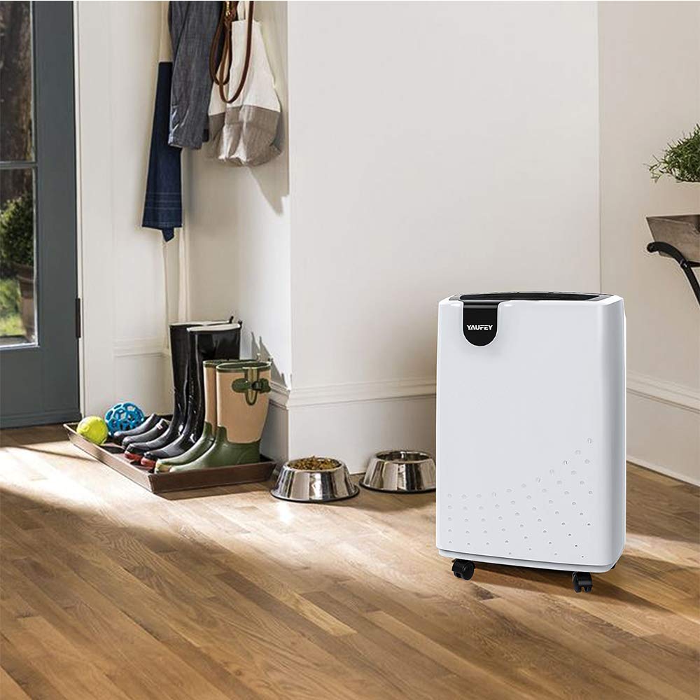 31 Pint Dehumidifier for Basement Home 2500 Sq. Ft. with Drain Hose