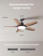 DREO Smart RGBIC Ceiling Fans with Lights, Low profile Ceiling Fan with Alexa/App, 52'' Dimmable Lighting & Color Tuning, 25dB Quiet for Living Room, Game Room, Easy Installation, Black, 2026 Upgraded