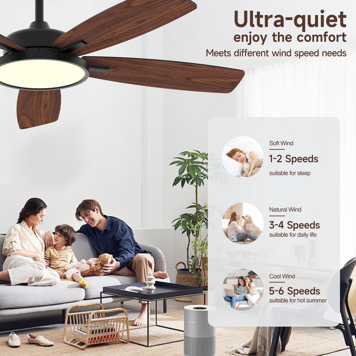 Roomratv Smart Ceiling Fan Compatible with App/Alexa/Google home,Black