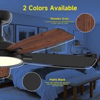 Roomratv Smart Ceiling Fan Compatible with App/Alexa/Google home,Black