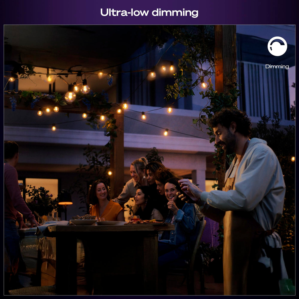 Philips Hue Festavia Globe Outdoor String Lights, 32 Bulbs, 91ft