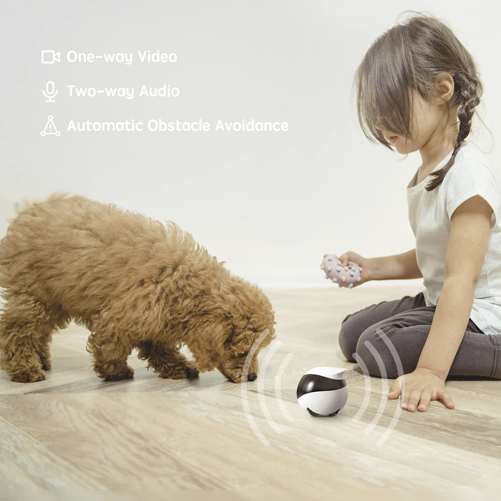 Enabot EBO SE Home Robot Camera: Mobile Pet Companion with 1080p Camera