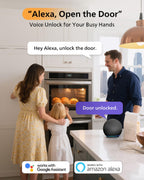 Philips WiFi Smart Lock with Handle Set, APP Remote Control, Voice Control