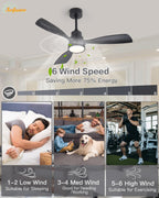 Sofucor 48 Inch Smart Wood Ceiling Fans with Lights, Flush/Downrod Mount