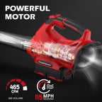 PowerSmart 40V 21" Cordless Lawn Mower + 465 CFM Leaf Blower, 3 Batteries