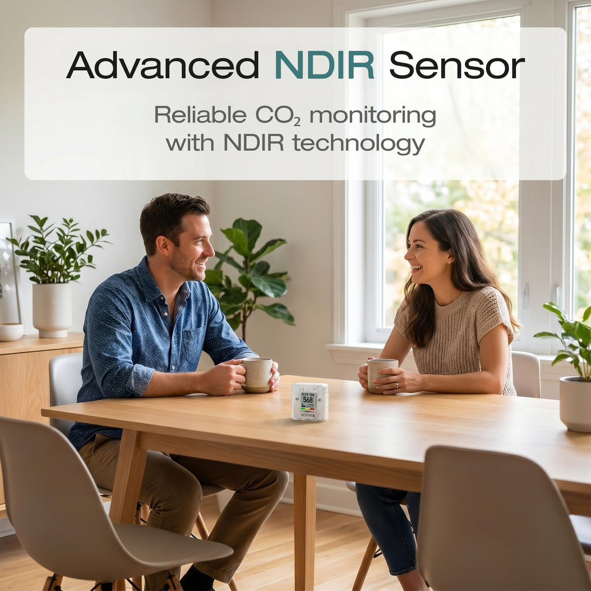 Aranet4 Indoor Air Quality Monitor, Wireless CO2 Detector for Home, Office