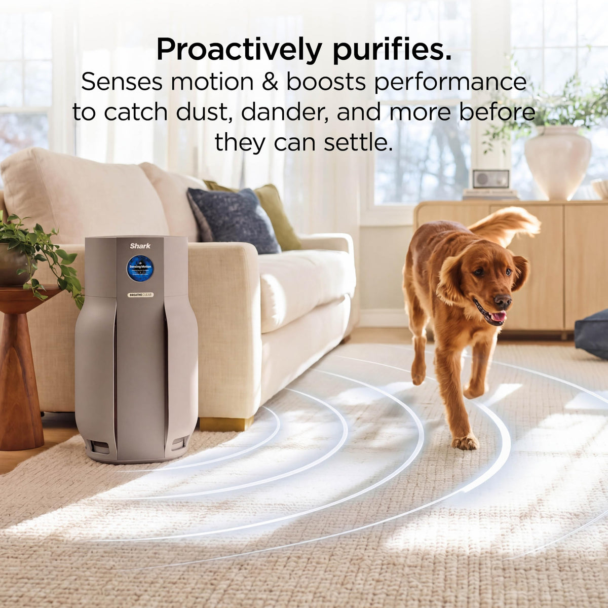 Shark NeverChange Detect iQ MAX with BreatheClear Air Purifier, HP361