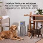 Shark NeverChange Detect iQ MAX with BreatheClear Air Purifier, HP361