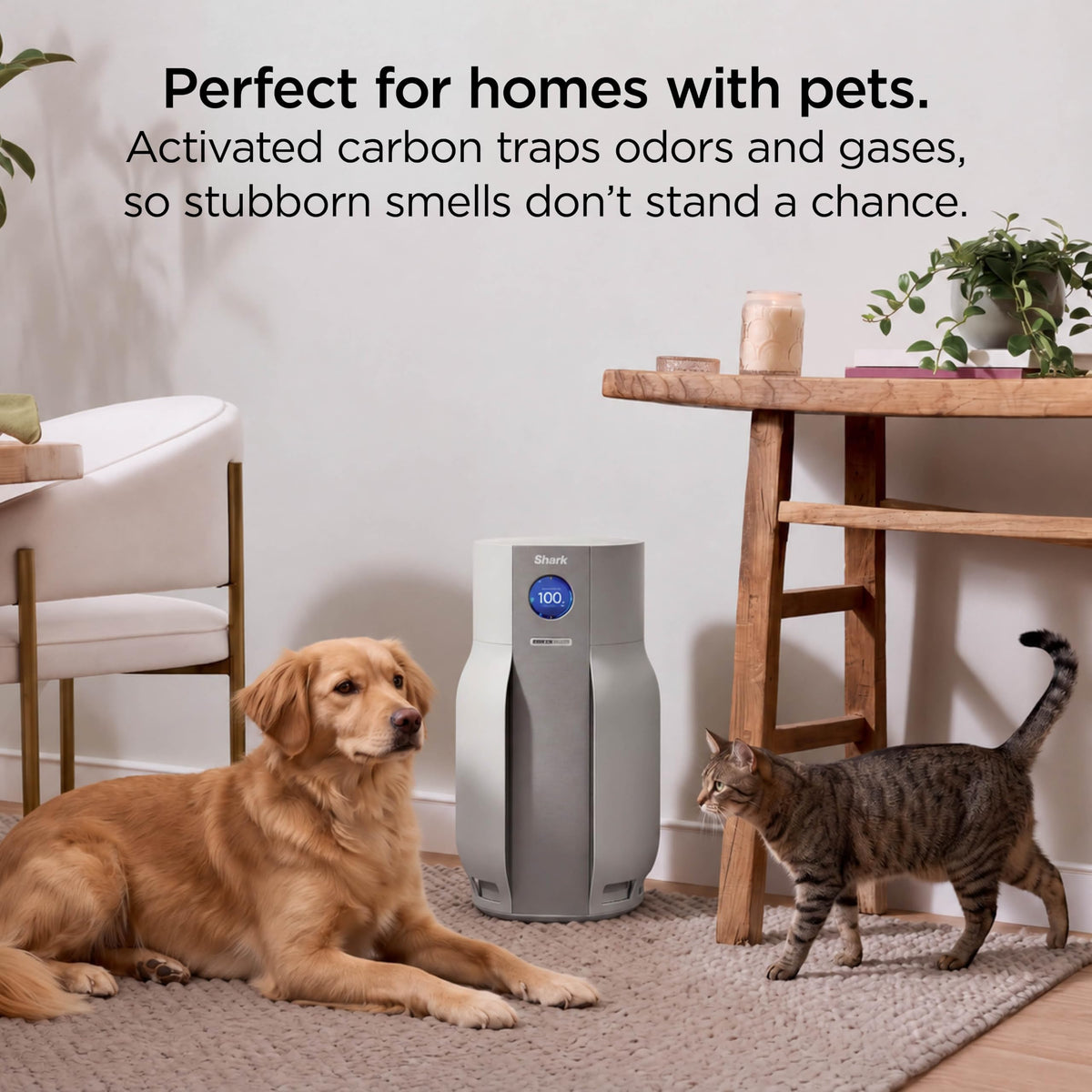 Shark NeverChange Detect iQ MAX with BreatheClear Air Purifier, HP361