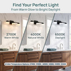 DAYCENT Black 3-Light Bathroom Vanity Lights with APP/Remote Control 21.26"