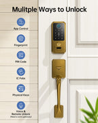 Hornbill Keyless Entry Door Lock, Smart Front Door Lock Set, Smart Deadbolt Keypad Handle Set for Home/House/Airbnb/Office, Auto-Lock,Satin Brass